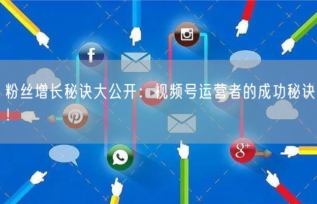 粉丝增长秘诀大公开:视频号运营者的成功秘诀!