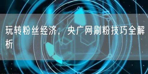 玩转粉丝经济，央广网刷粉技巧全解析