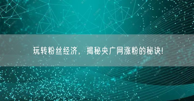 玩转粉丝经济，揭秘央广网涨粉的秘诀!