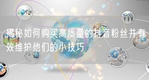 揭秘如何购买高质量的抖音粉丝并有效维护他们的小技巧