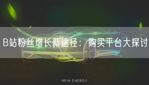 B站粉丝增长新途径：购买平台大探讨