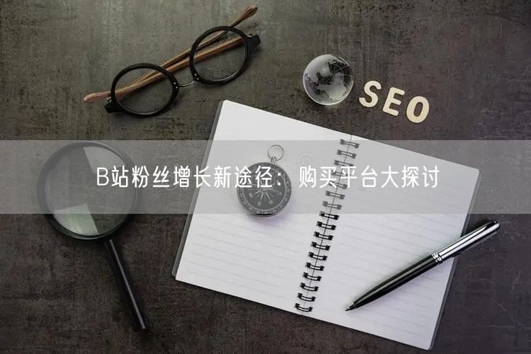B站粉丝增长新途径：购买平台大探讨