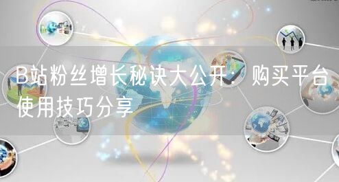 B站粉丝增长秘诀大公开：购买平台使用技巧分享