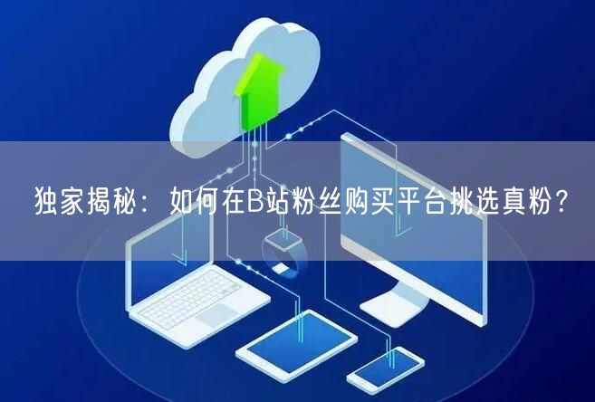 独家揭秘：如何在B站粉丝购买平台挑选真粉？