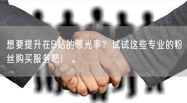 想要提升在B站的曝光率？试试这些专业的粉丝购买服务吧！。