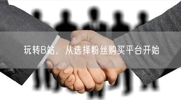 玩转B站，从选择粉丝购买平台开始