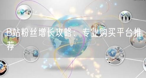 B站粉丝增长攻略：专业购买平台推荐