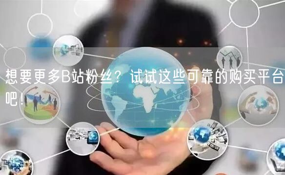 想要更多B站粉丝？试试这些可靠的购买平台吧！