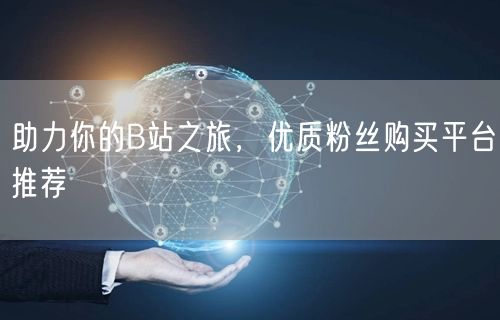 助力你的B站之旅，优质粉丝购买平台推荐
