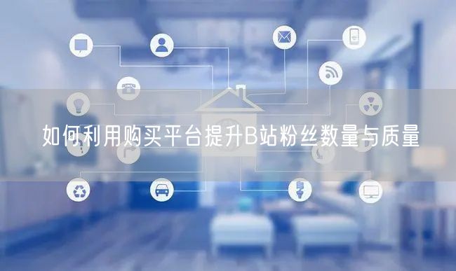 如何利用购买平台提升B站粉丝数量与质量